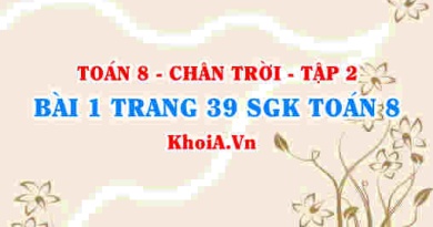 Bài 1 trang 39 Toán 8 Chân trời sáng tạo Tập 2